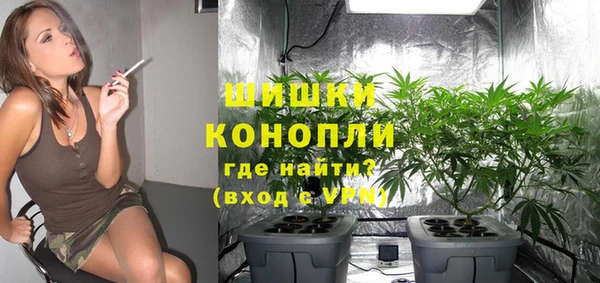 соль ск Верея