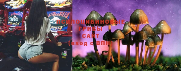 соль ск Верея