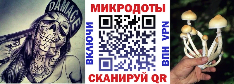 Псилоцибиновые грибы MAGIC MUSHROOMS  даркнет сайт  гидра рабочий сайт  Княгинино 